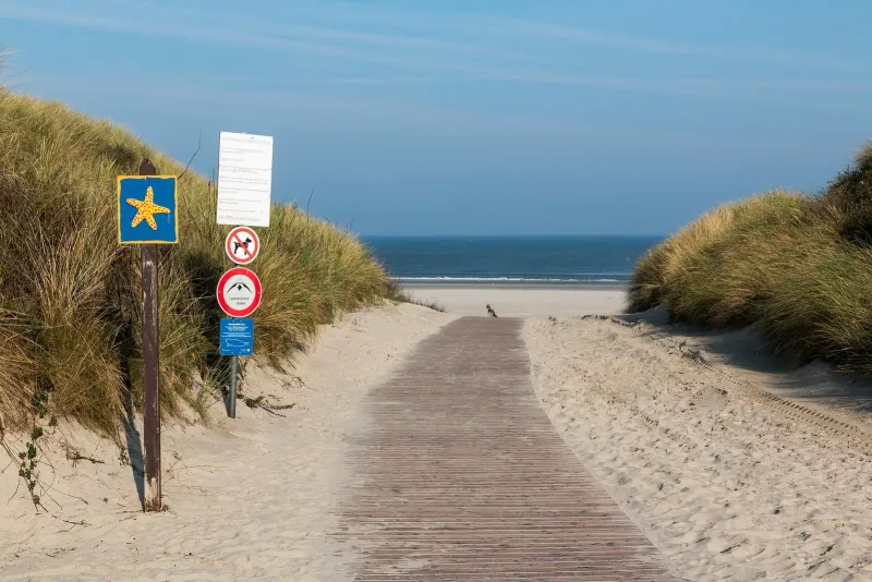 Strandzugang mit Holzbohlenweg durch die Dünen auf Juist