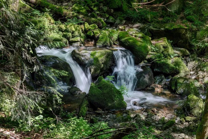 Wasserfall in der Teichschlucht bei Gütenbach im Schwarzwald